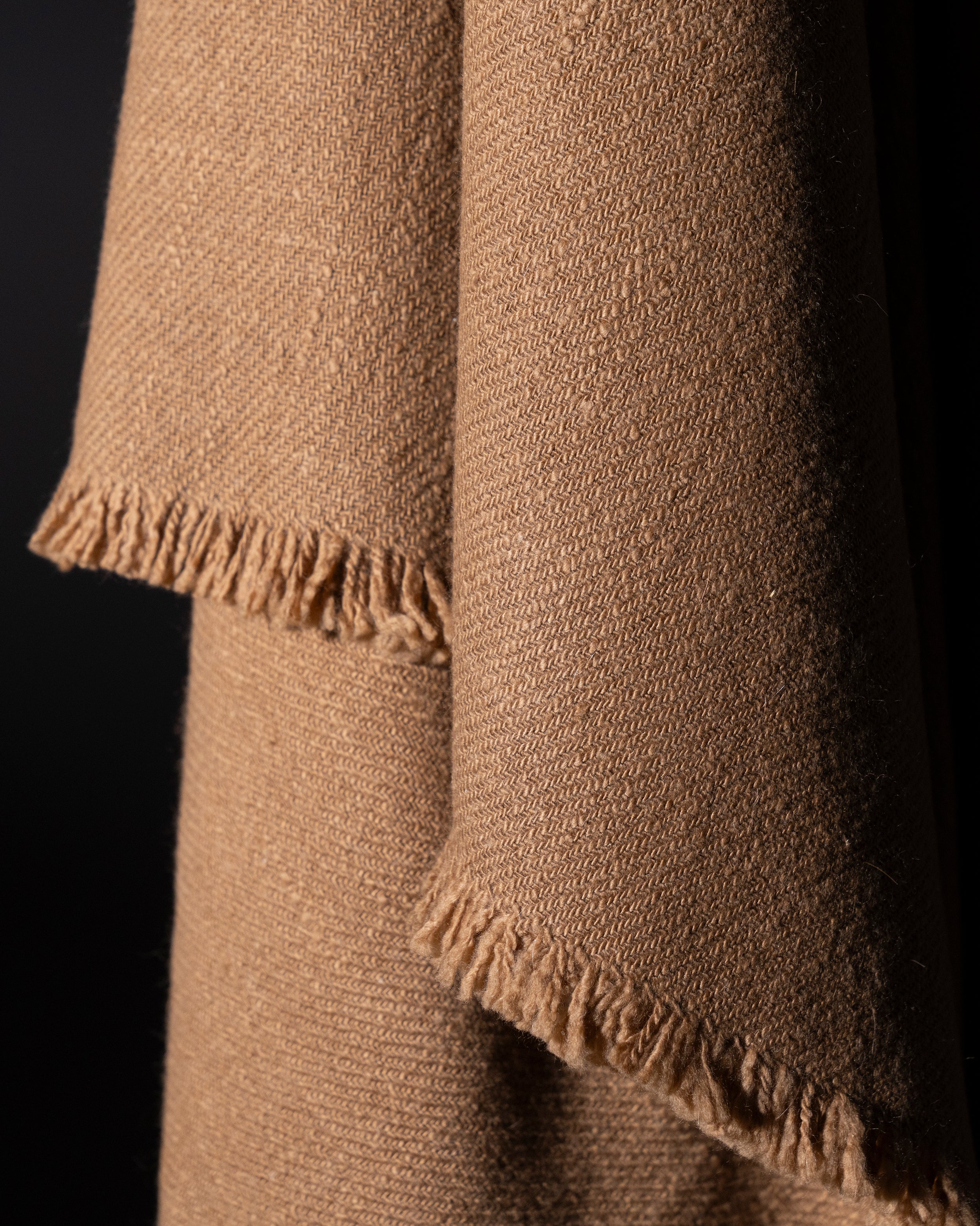 ORO DE LOS ANDES - vicuña