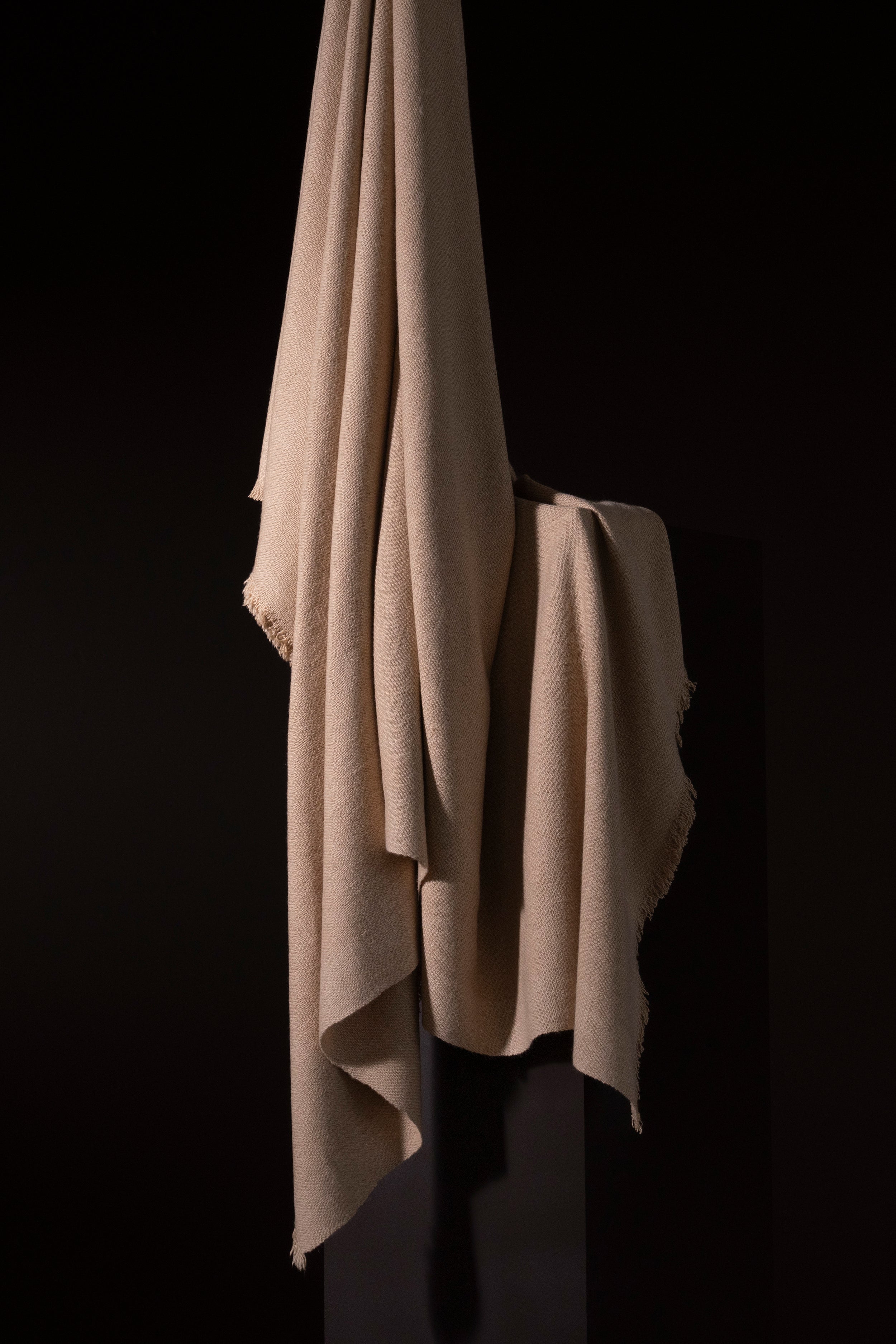 VICUÑA BLANCA - vicuña