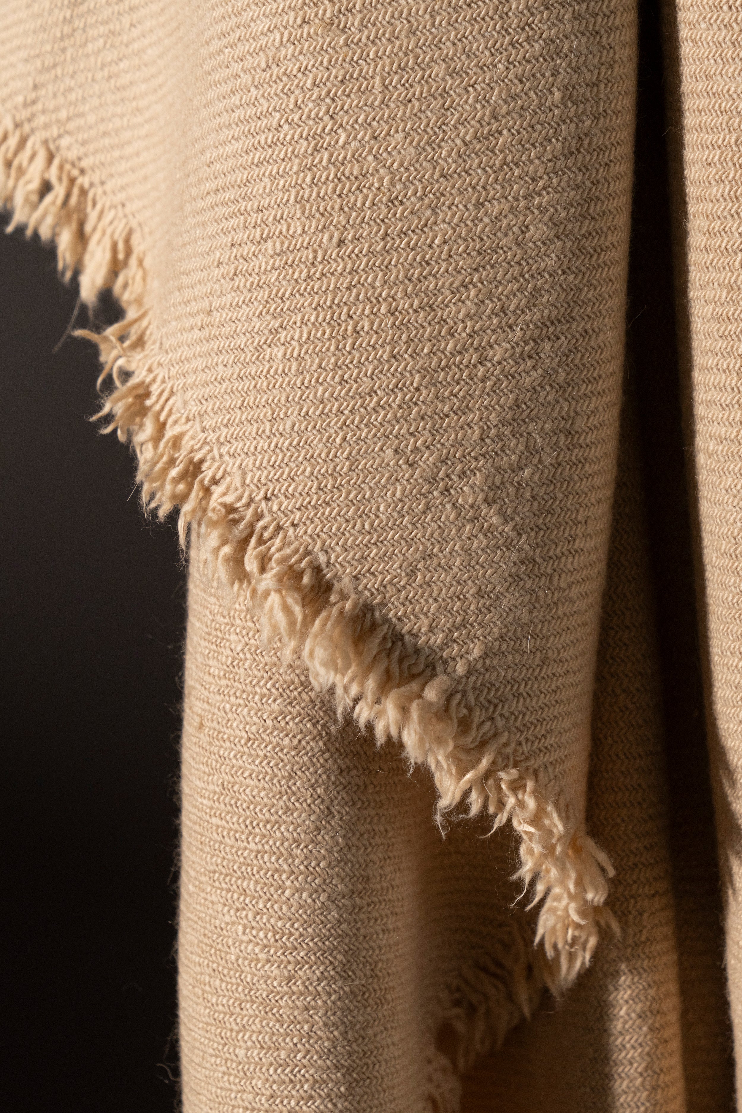 VICUÑA BLANCA - vicuña