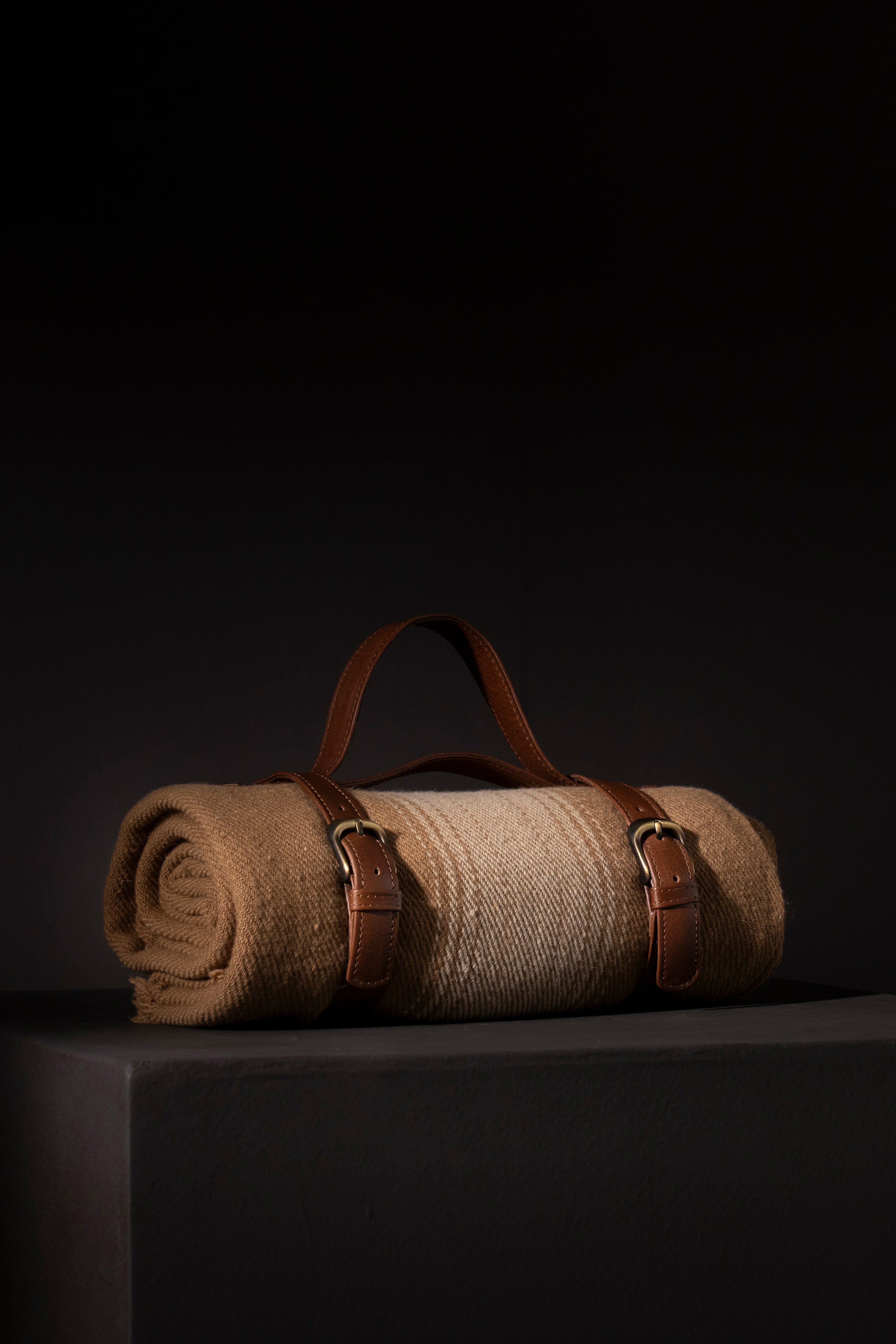 VICUÑA AUSTRAL  - vicuña