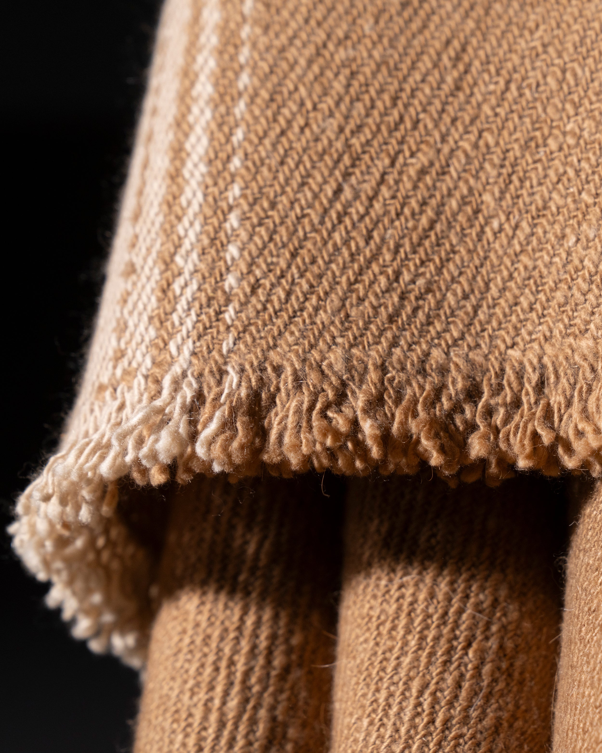 VICUÑA AUSTRAL  - vicuña